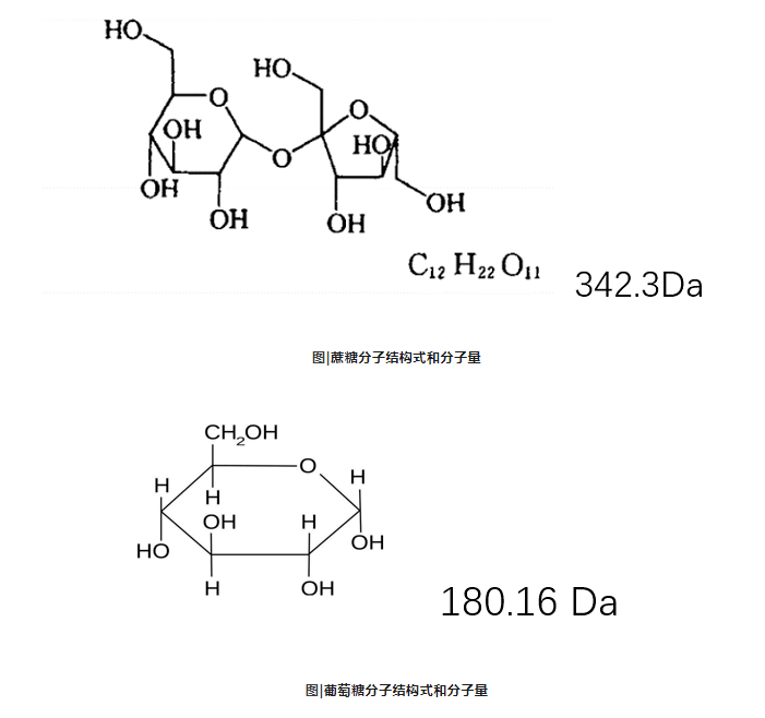 單糖分子的粒徑及其分布測試