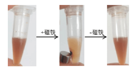 磁性高分子微球粒徑和Zeta電位測試